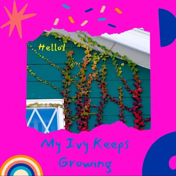 Welcome - Picture 1 of 2